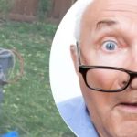 O estranho achado junto à árvore deixou o vizinho intrigado: