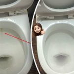 Um produto que branqueia a sanita até ficar brilhante: como